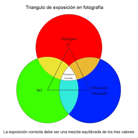 Triangulo exposicion correcta